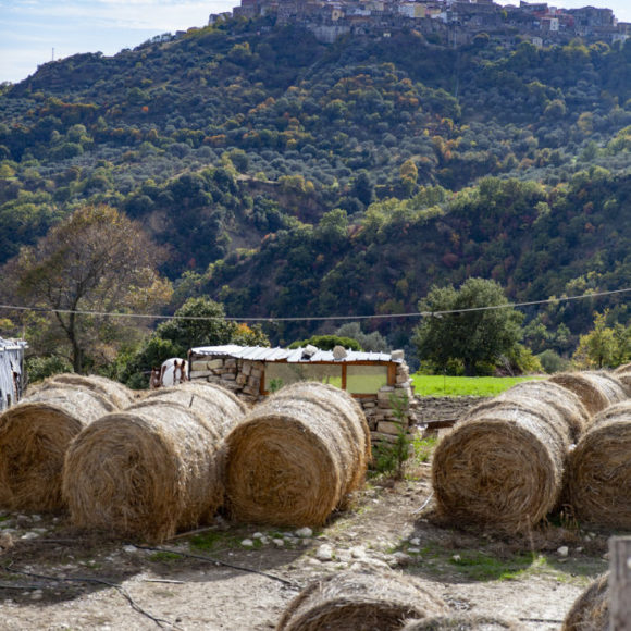 Matera 2019, il Festival “So Far So Close” a San Mauro Forte con l’artista Luigi Coppola