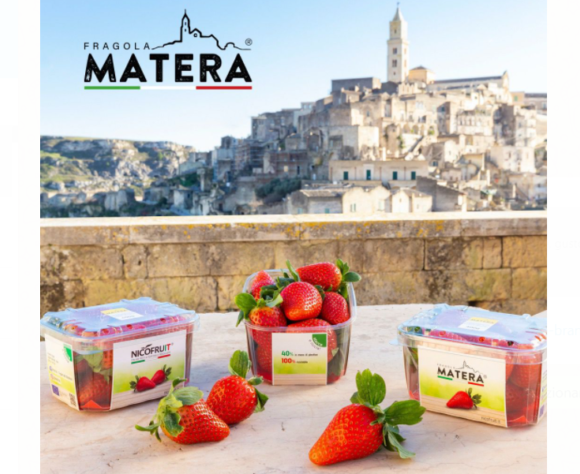 Nuovo marchio nella fragolicoltura lucana di qualità: nasce Fragola Matera®