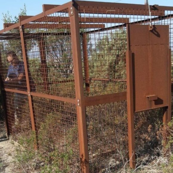 Avviate le operazioni di installazione delle gabbie per la cattura dei cinghiali nel Parco della Murgia Materana